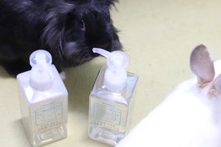 아토컴피 신생아와 반려동물도 사용가능한 고농축 세탁세제 섬유유연제 500ml 세트 (독일 피부과 임상시험 완료) — 4.5점을 준 리뷰어가 2022년 9월 올린 사용 사진