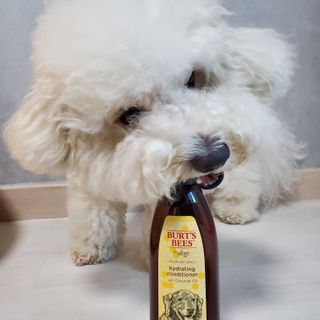 나리니님이 올린 리뷰 사진 1