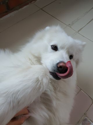 김은둥님이 올린 리뷰 사진 3
