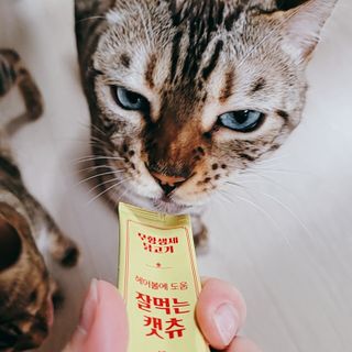 쭈니씨님이 올린 리뷰 사진 3
