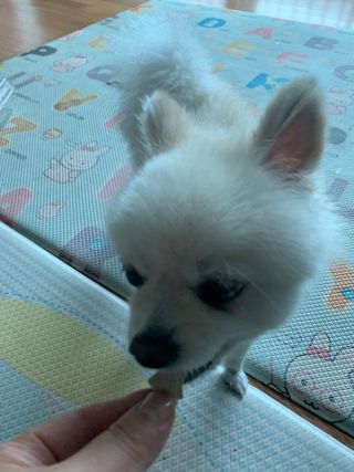 별이빛나길님이 올린 리뷰 사진 3