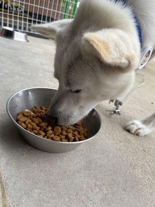 Jenny님이 올린 리뷰 사진 2