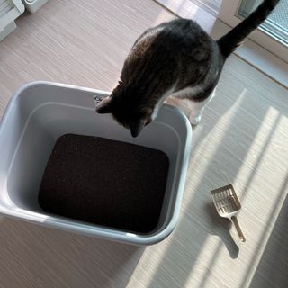 쎄쎄님이 올린 리뷰 사진 3