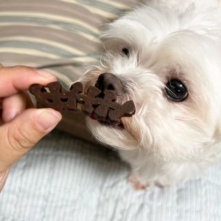 뽀히님이 올린 리뷰 사진 2