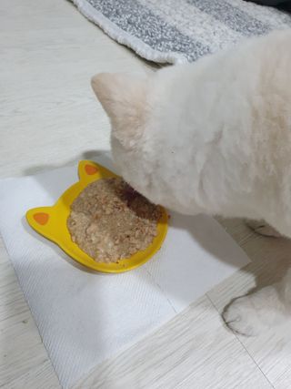 찌윤님이 올린 리뷰 사진 3