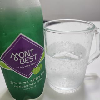 몽베스트 Montbest with Sparkling water Plain 20병 — 5점을 준 리뷰어가 2022년 8월 올린 사용 사진