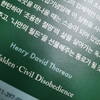 유재현님이 올린 리뷰 사진 2