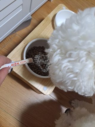 My Pet Care 모발과 모질 피부건강에 개좋아 — 5점을 준 리뷰어가 2021년 1월 올린 사용 사진