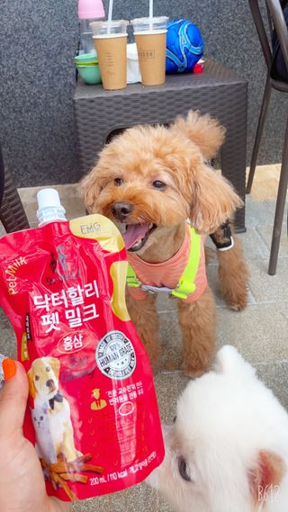 서준이야너는님이 올린 리뷰 사진 1
