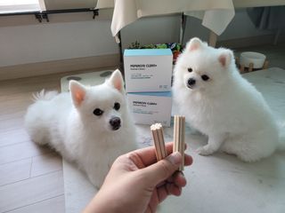 페페로니 2종 세트 클린플러스 덴탈껌 치킨+덕 — 4점을 준 리뷰어가 2021년 8월 올린 사용 사진
