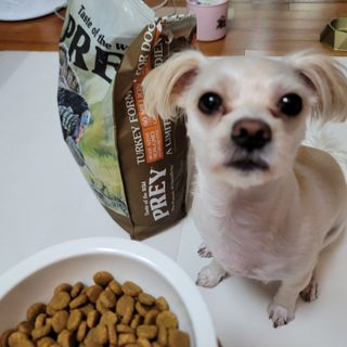 mejoom님이 올린 리뷰 사진 2