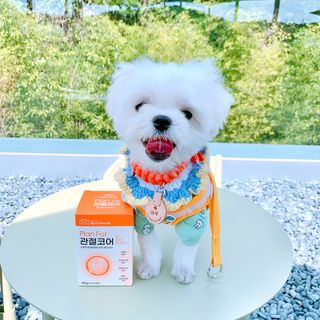 펭뽀꾸님이 올린 리뷰 사진 1