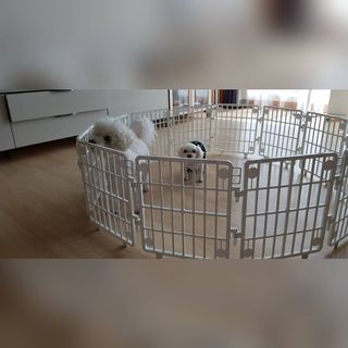 물끼님이 올린 리뷰 사진 2