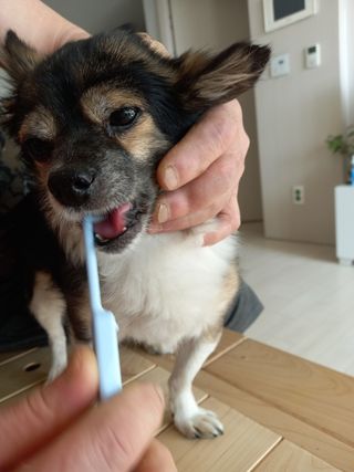 꽃수니어니님이 올린 리뷰 사진 2