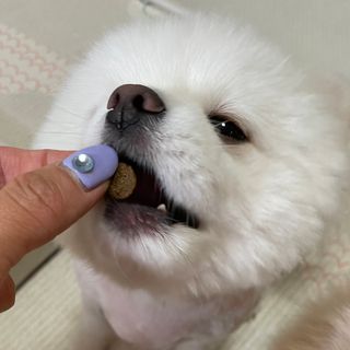 어거스트비님이 올린 리뷰 사진 3