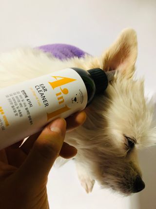 Lily님이 올린 리뷰 사진 3