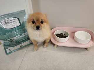 캐닌캐비어 알카라인 홀리스틱 그레이프리 앙뜨레 ALS_4종 오픈스카이, 와일드오션, 프리스피릿, 스페셜니즈 — 5점을 준 리뷰어가 2023년 2월 올린 사용 사진