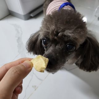 부르르펫 야미트릿 틸라피아 60g — 5점을 준 리뷰어가 2021년 10월 올린 사용 사진