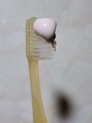 써니데이님이 올린 리뷰 사진 1
