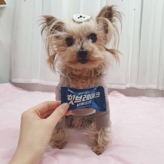 솜희님이 올린 리뷰 사진 4
