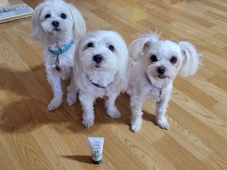 공팔리터님이 올린 리뷰 사진 3