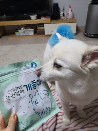 My Pet Care 천연단백질 눈건강에 개좋아 — 5점을 준 리뷰어가 2021년 2월 올린 사용 사진