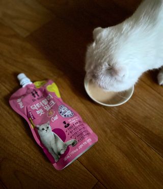 화이집사님이 올린 리뷰 사진 2