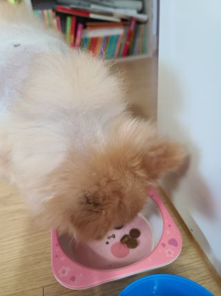 다솜이마마님이 올린 리뷰 사진 4