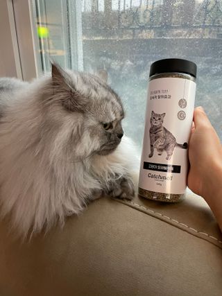 바쁘게살장구님이 올린 리뷰 사진 3