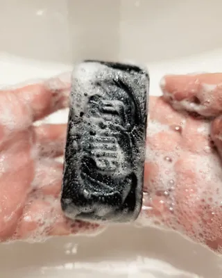 카라님이 올린 리뷰 사진 2
