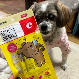 [레모나] 강아지 레모나 강아직 영양 간식 4종 택 1 — 5점을 준 리뷰어가 2024년 1월 올린 사용 사진