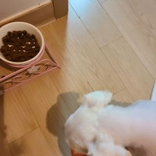 랴슈벨라님이 올린 리뷰 사진 3