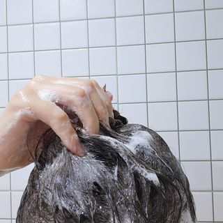 [딸로] 비어이스트테라피 스칼프 샴푸 — 5점을 준 리뷰어가 2023년 12월 올린 사용 사진