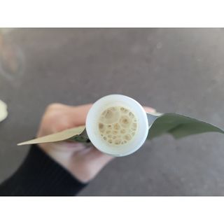 우쭈쭈님이 올린 리뷰 사진 3