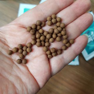 완두콩님이 올린 리뷰 사진 4