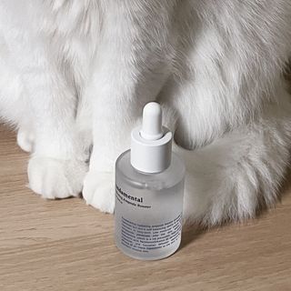 키노닉스 펀더멘탈 앰플 부스터 — 5점을 준 리뷰어가 2022년 3월 올린 사용 사진