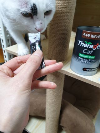 귀욤뽀짝센스쟁이님이 올린 리뷰 사진 3