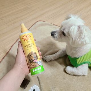 슝늉님이 올린 리뷰 사진 2