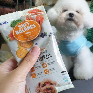 씨디랩 속이 편한 강아지 사료 소프트발란스 기호성 좋은 발효사료 피부와 위장 관절과 위장 — 5점을 준 리뷰어가 2021년 4월 올린 사용 사진
