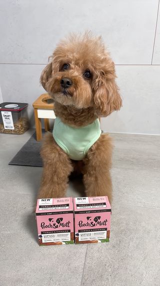 harumom님이 올린 리뷰 사진 4