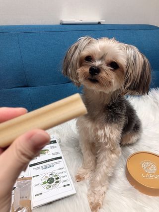꿀님이 올린 리뷰 사진 2