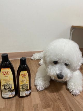 예봉봉봉님이 올린 리뷰 사진 2