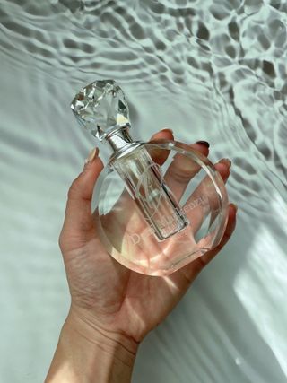 다콩님이 올린 리뷰 사진 2