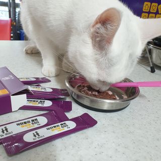 코코야옹님이 올린 리뷰 사진 3