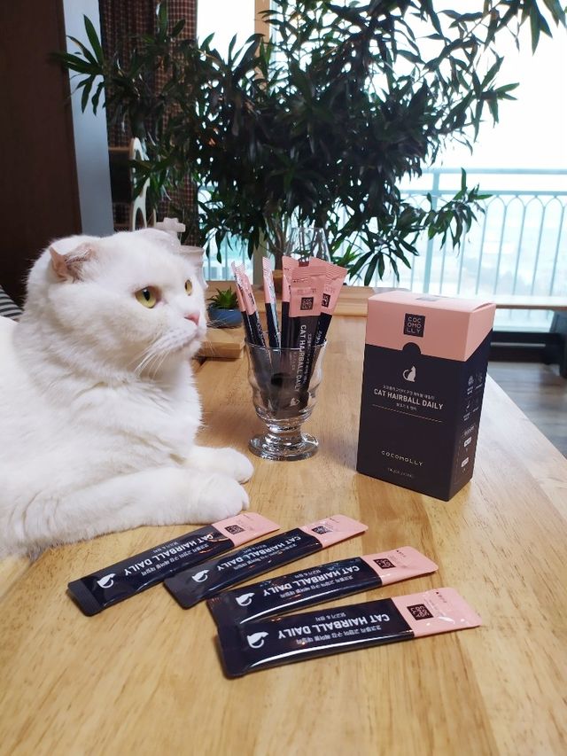 코코몰리 고양이 구강• 헤어볼 데일리 /신장• 요로 데일리 리뷰 사진