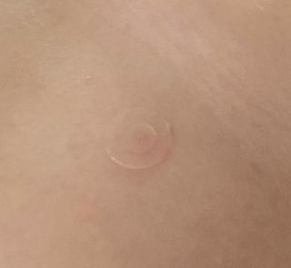 롱롱님이 올린 리뷰 사진 4