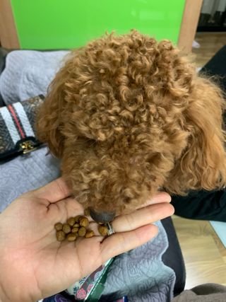 KellyChoi님이 올린 리뷰 사진 2