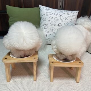 땡큐순님이 올린 리뷰 사진 2