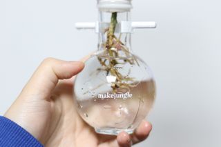 [메이크정글] 식물과 달력이 하나로, 2023년 식물캘린더 No.2 — 5점을 준 리뷰어가 2022년 10월 올린 사용 사진