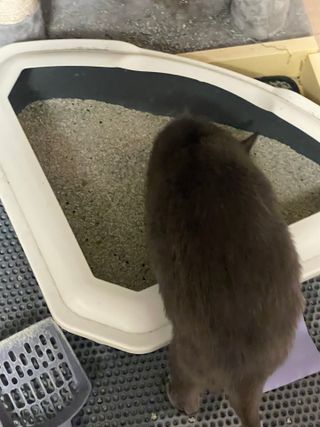 효니님이 올린 리뷰 사진 1